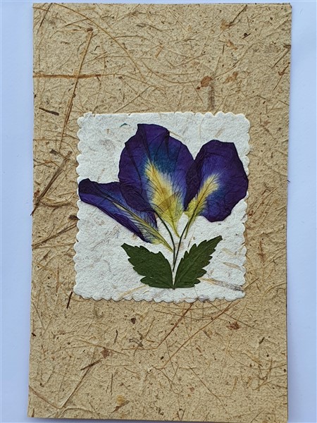 Grußkarte, "blaue Blumen"